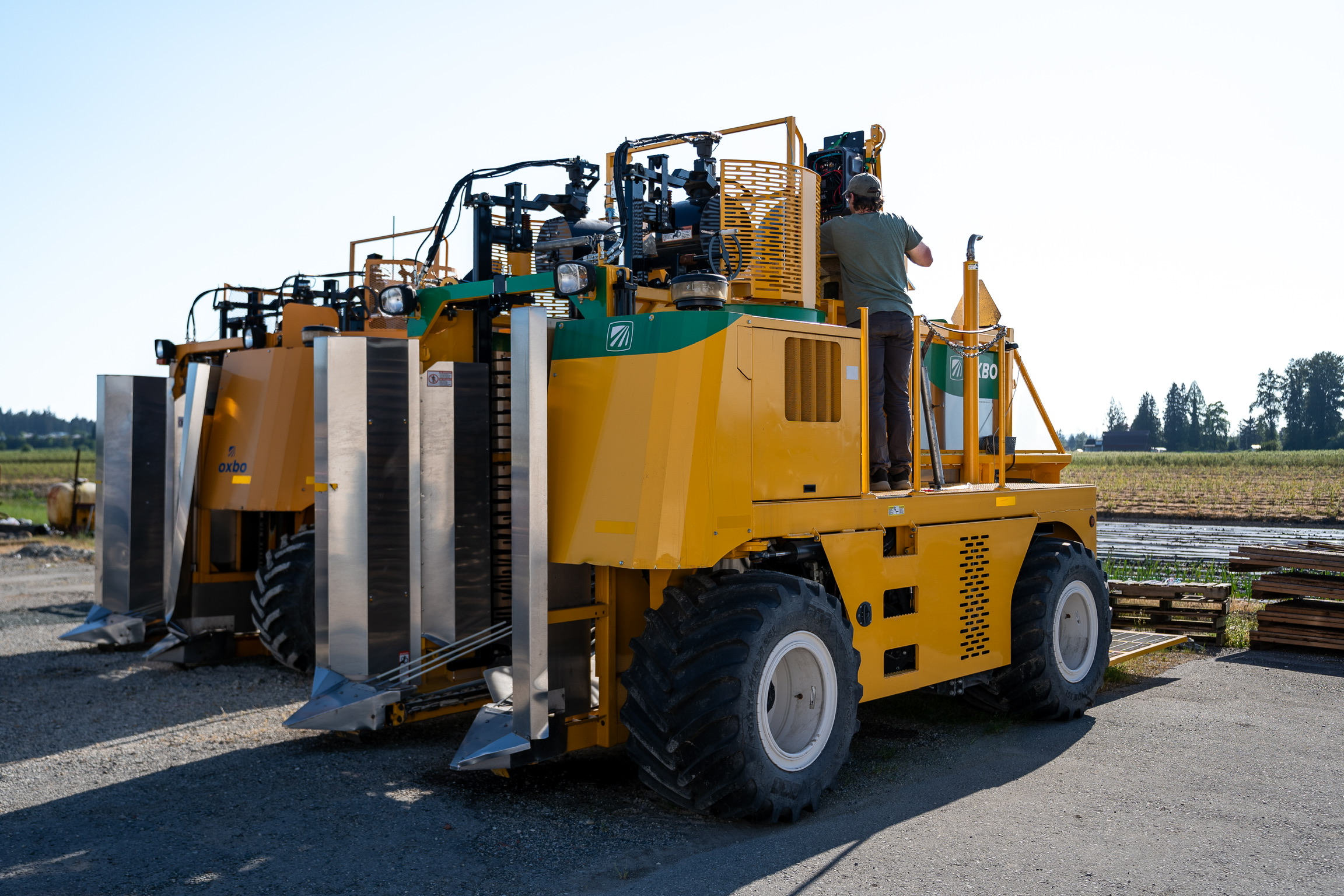 Blueberry Harvester Optimization — photo 1